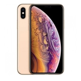 SMARTPHONE IPHONE XS 64GB GOLD (MTAY2) - RICONDIZIONATO - GAR. 12 MESI - GRADO A